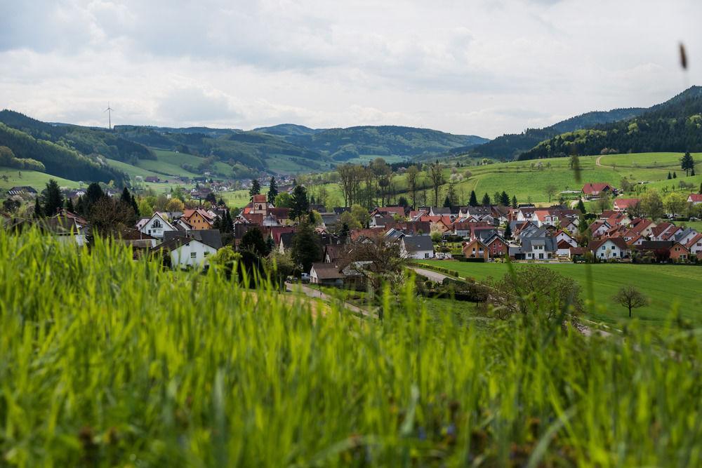 Landgasthof Ochsen Seelbach  Zewnętrze zdjęcie
