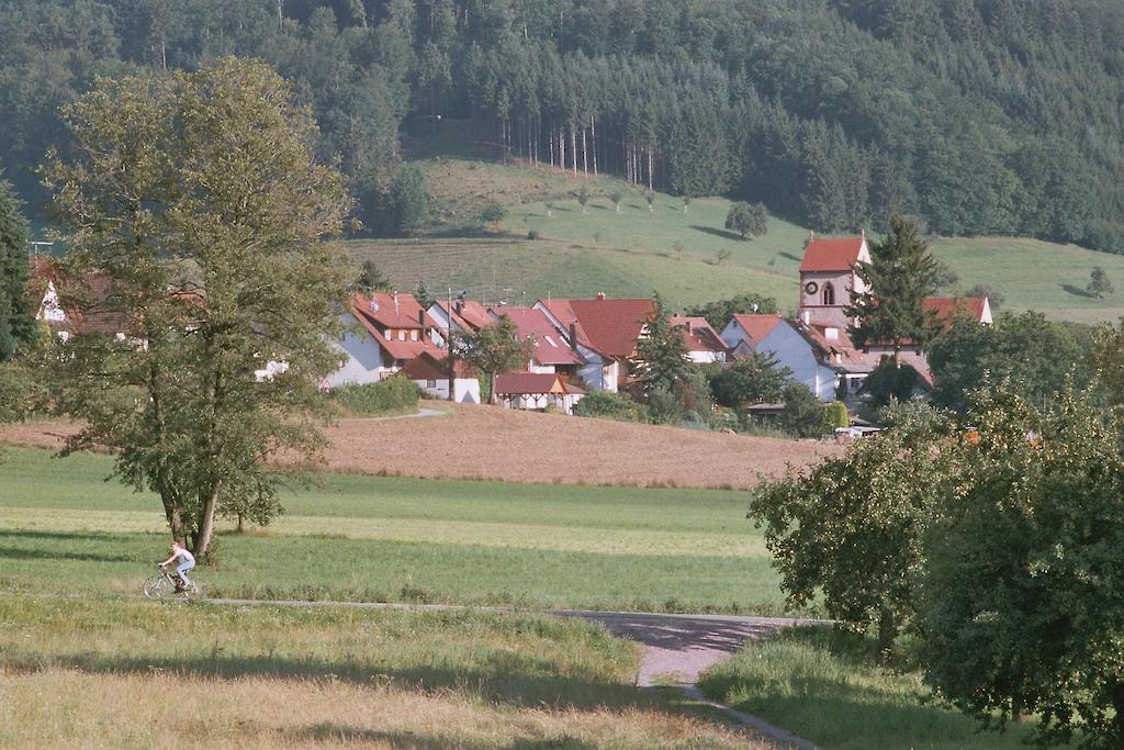 Landgasthof Ochsen Seelbach  Zewnętrze zdjęcie